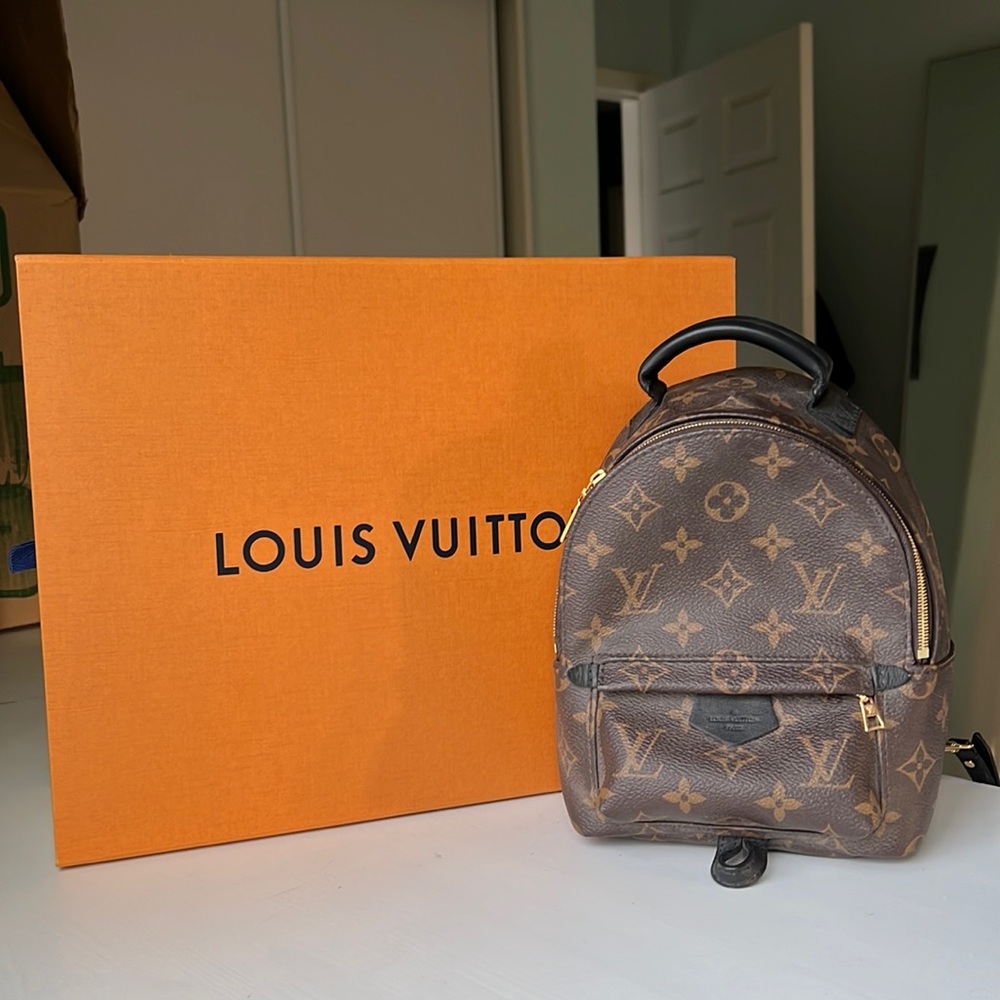 Louis Vuitton Palm Springs Mini - BRAND NEW